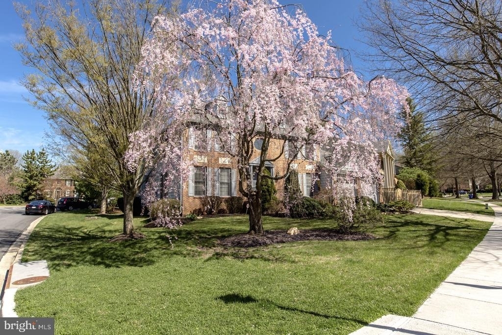 11001 Sugarbush Terrace - Photo 1