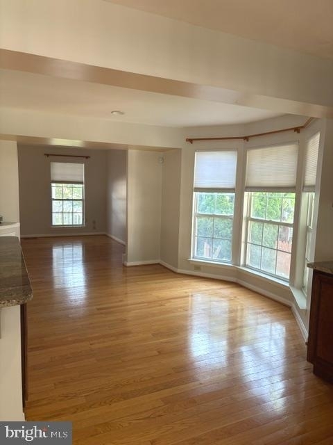 202 Cannon Place - Photo 5