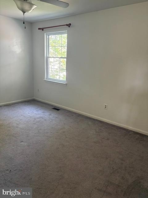 202 Cannon Place - Photo 10
