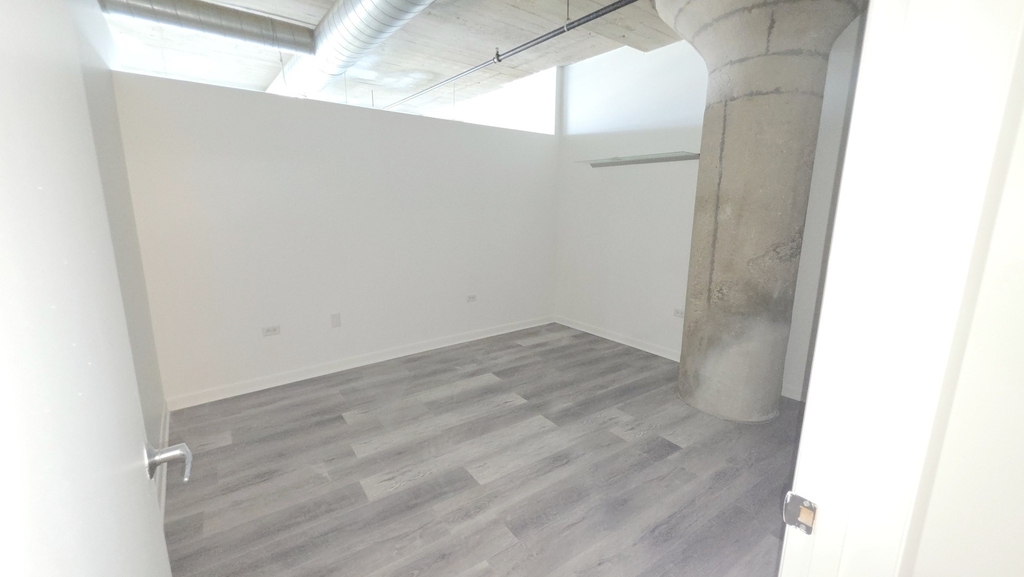 1550 S Blue Island Avenue - Photo 4
