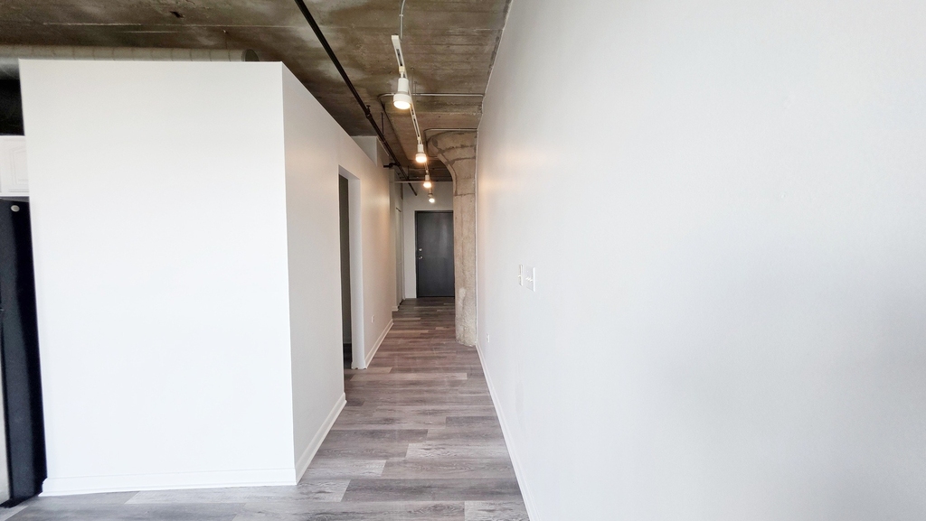 1550 S Blue Island Avenue - Photo 11