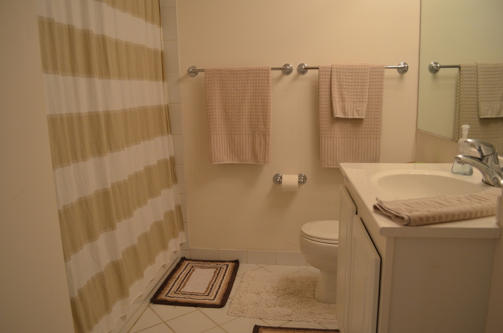 345 N Lasalle Street - Photo 11
