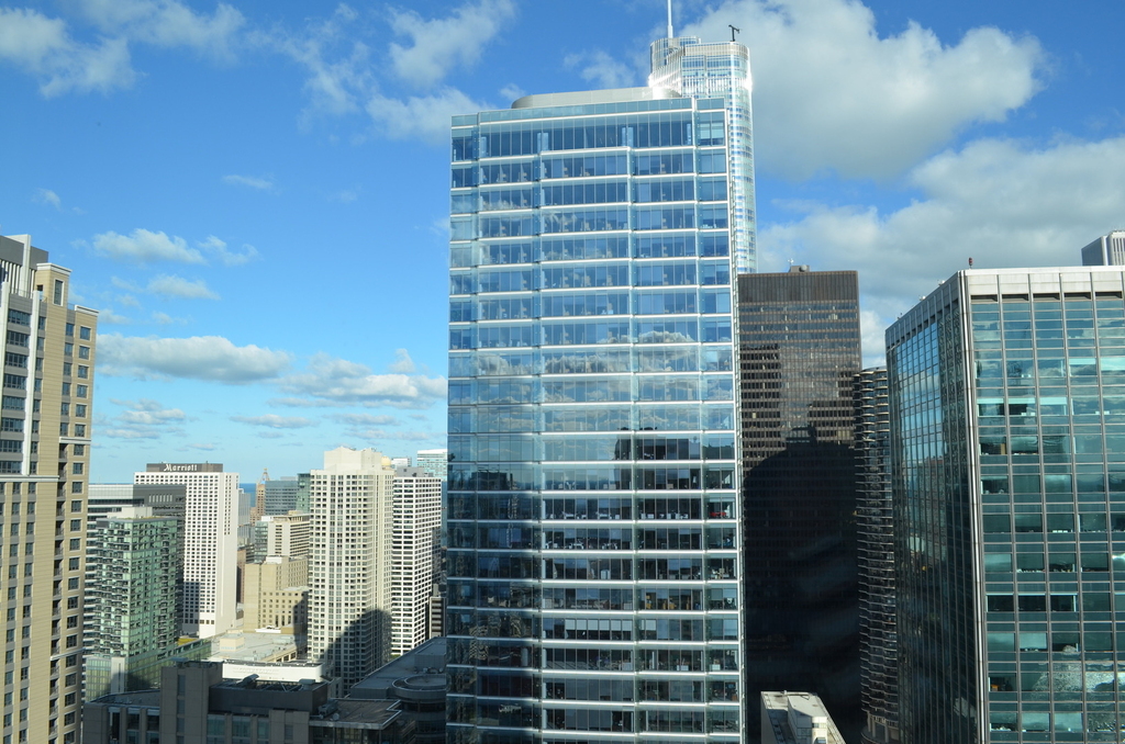 345 N Lasalle Street - Photo 1