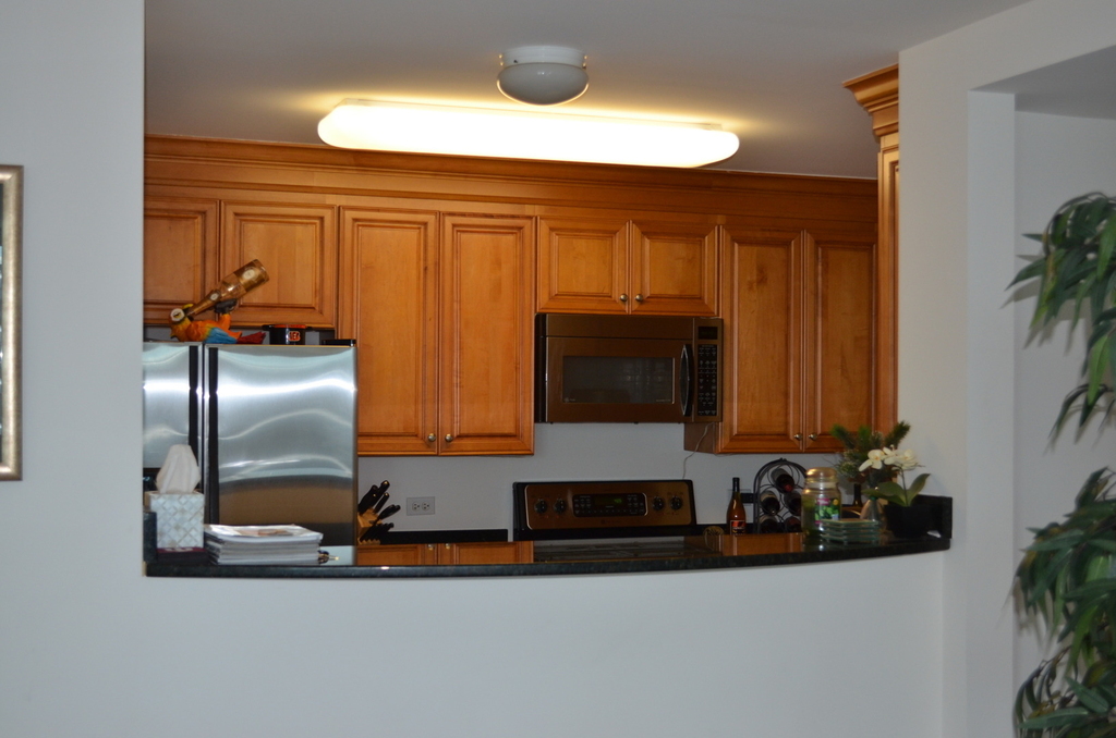 345 N Lasalle Street - Photo 6