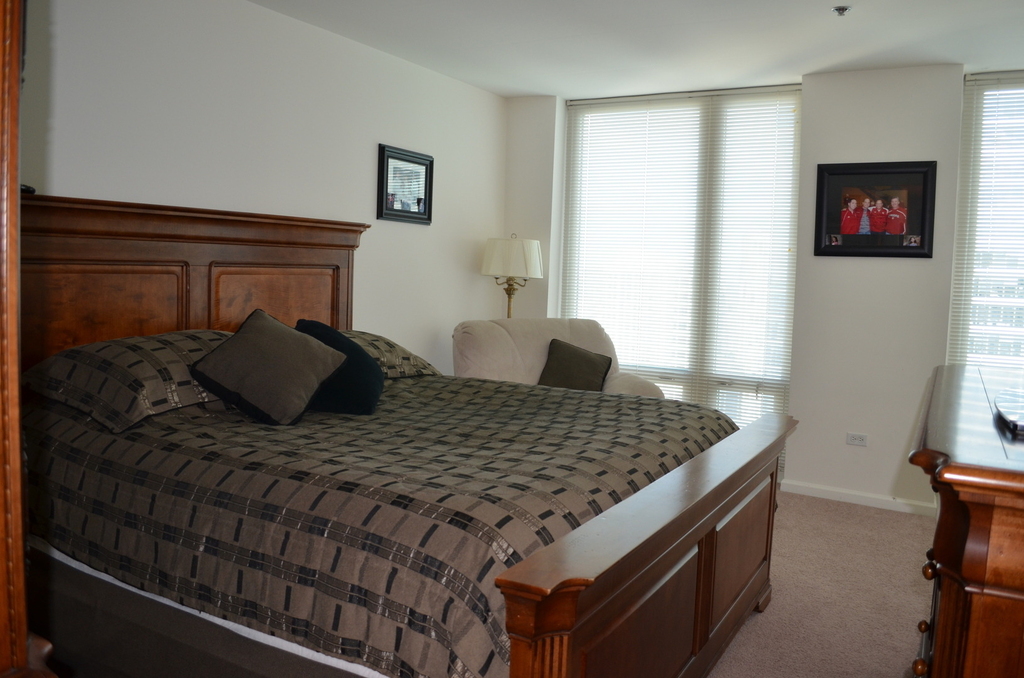 345 N Lasalle Street - Photo 13