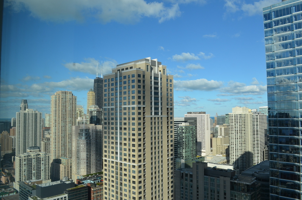 345 N Lasalle Street - Photo 2