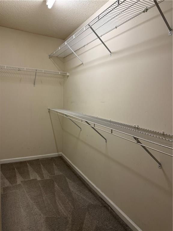 3810 Timbercreek Circle - Photo 13