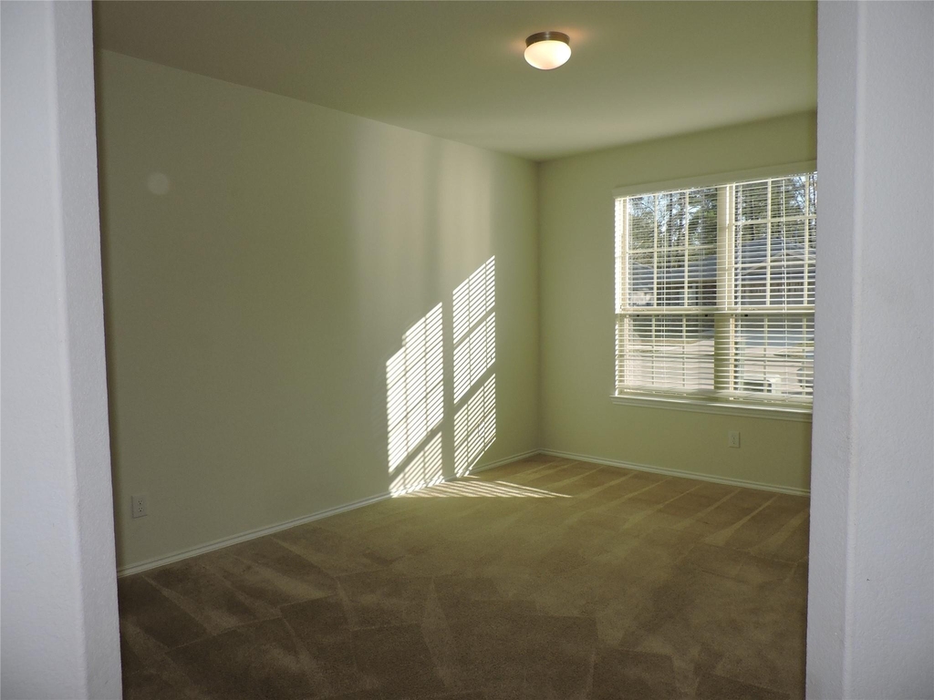 4022 Timber Sapp Drive - Photo 6