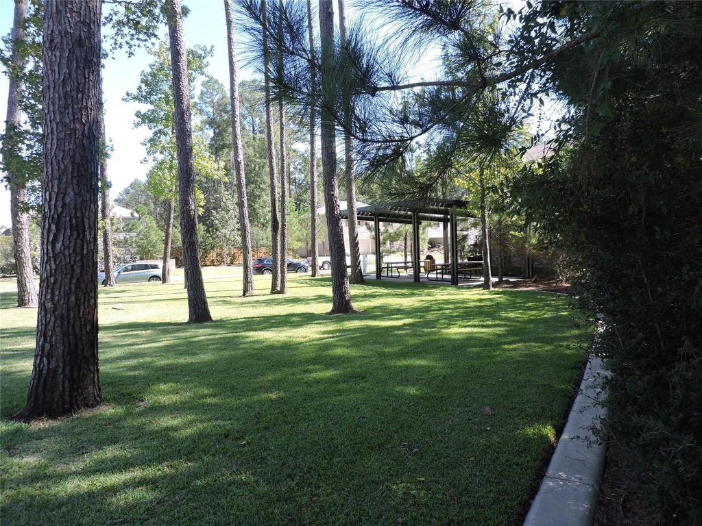 4022 Timber Sapp Drive - Photo 32