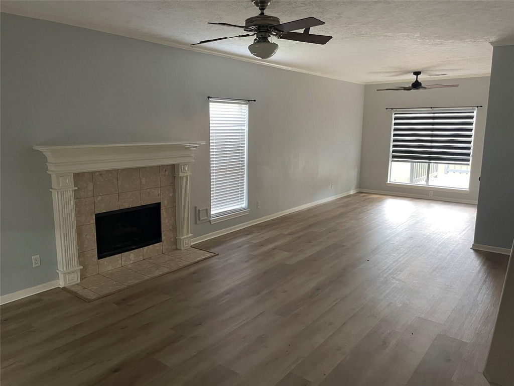 11115 Winspring Drive - Photo 3