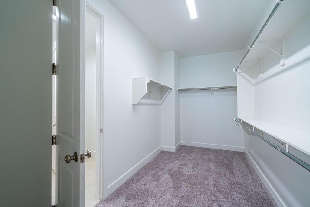 4706 Llano Loop - Photo 22