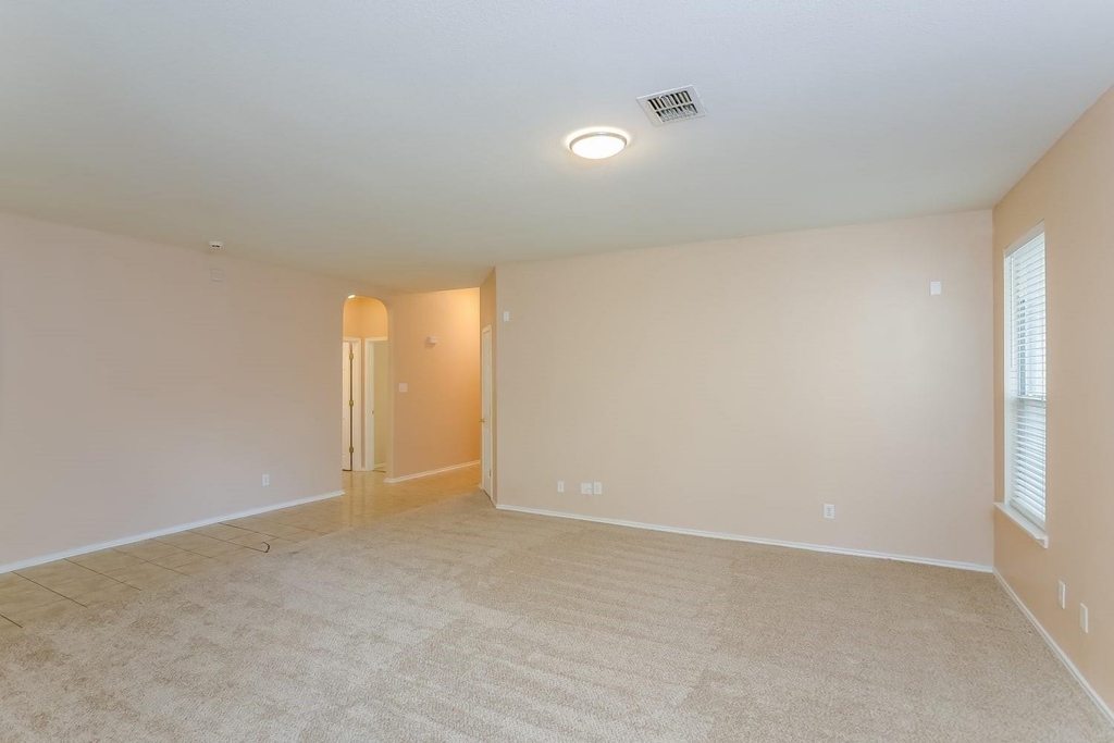 6119 Briscoe Leaf - Photo 1