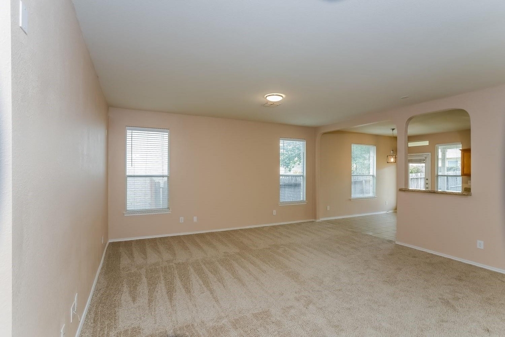 6119 Briscoe Leaf - Photo 2