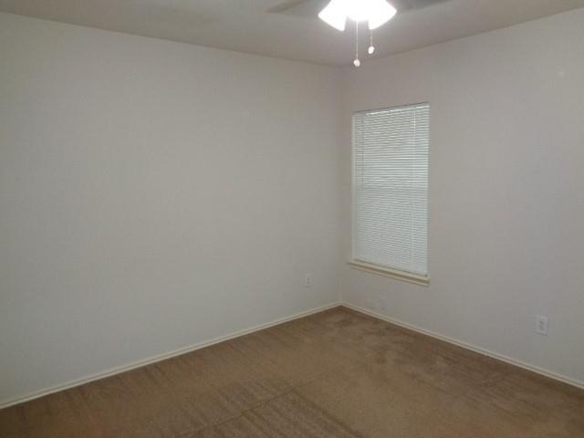 20107 Beechview Ln - Photo 15