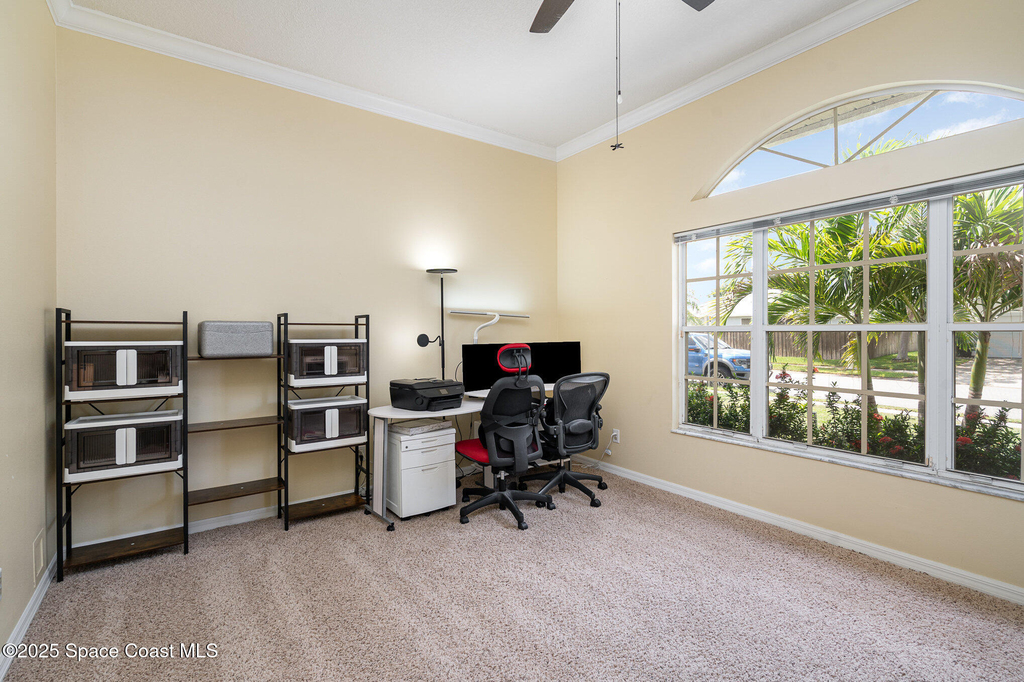 3623 Egret Drive - Photo 9