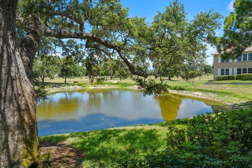 2152 Gulf View Boulevard - Photo 35