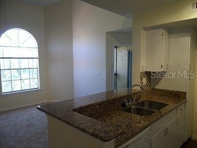 413 Fountainhead Circle - Photo 3