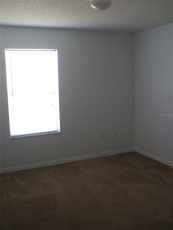 2872 Paynes Prairie Circle - Photo 12