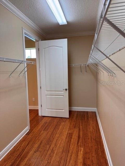 6803 Lockington Court - Photo 31