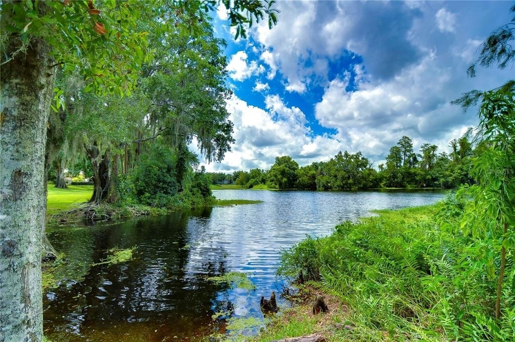 6803 Lockington Court - Photo 45