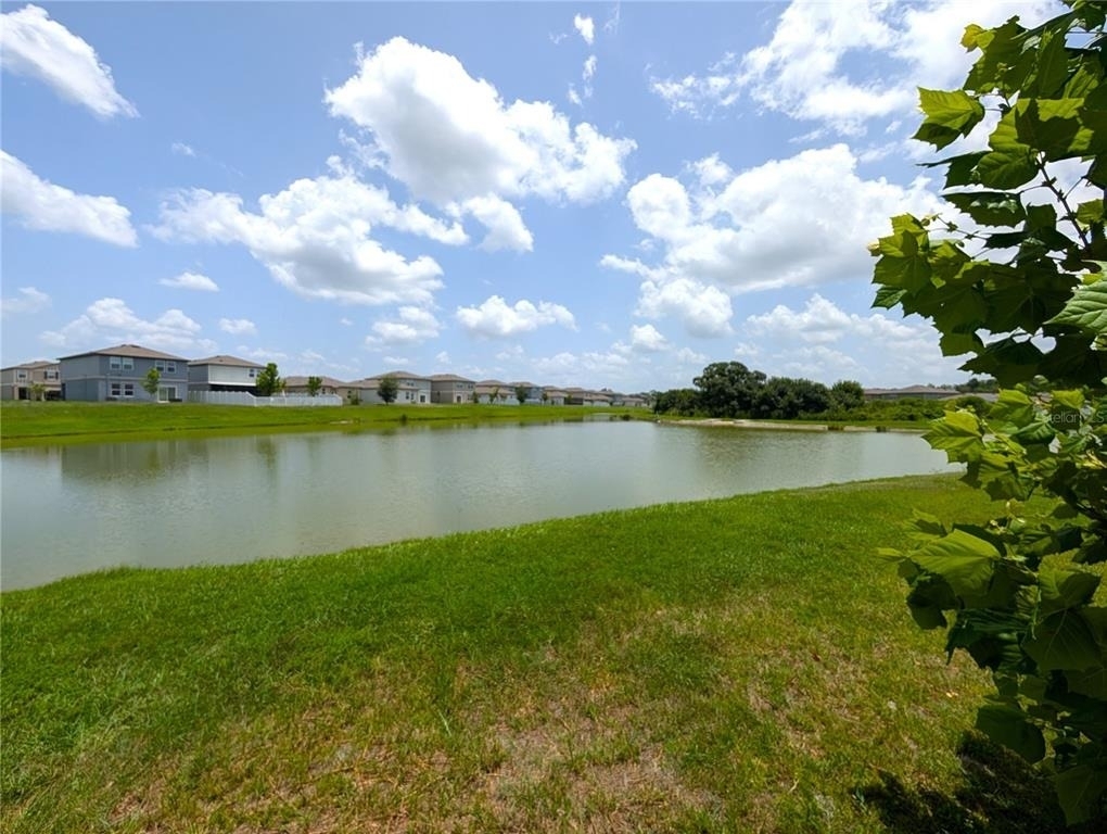 35491 Shade Fern Lane - Photo 18