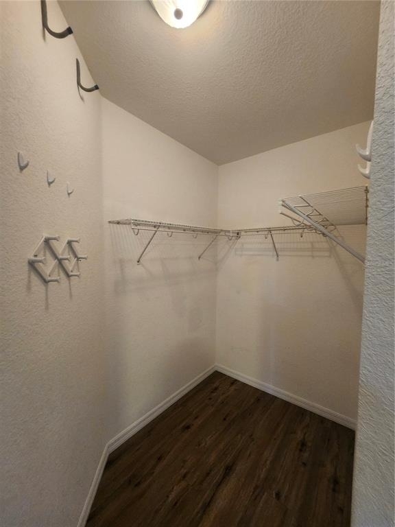 2061 Willow Hammock Circle - Photo 10