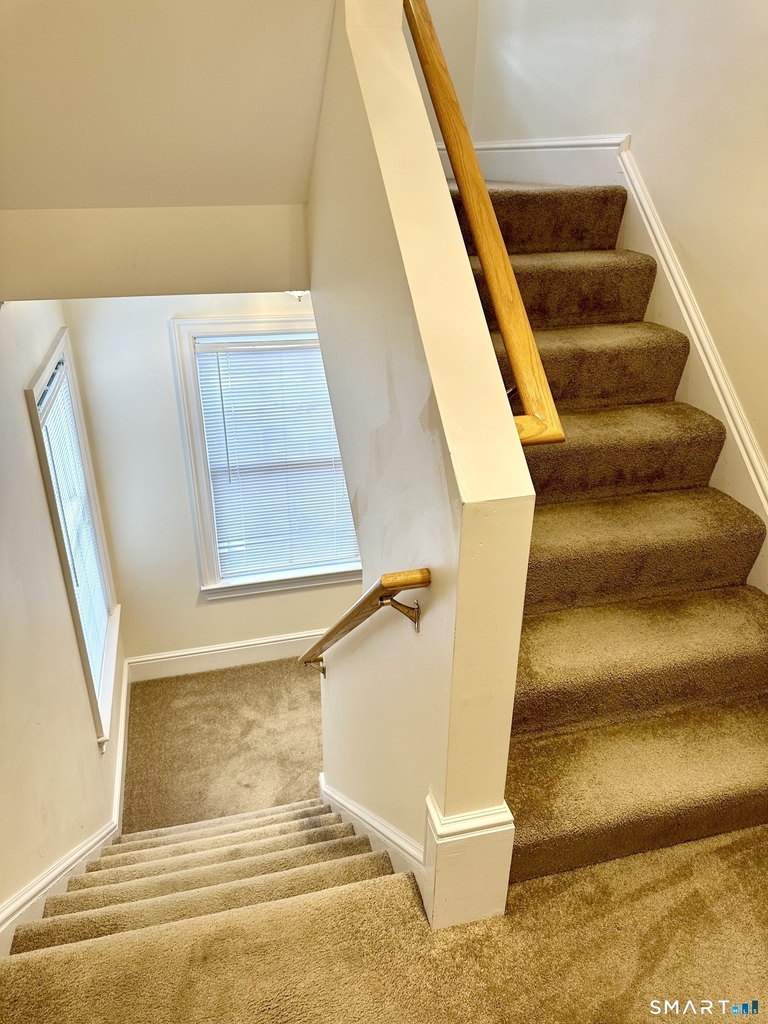 14 Haviland Street - Photo 11