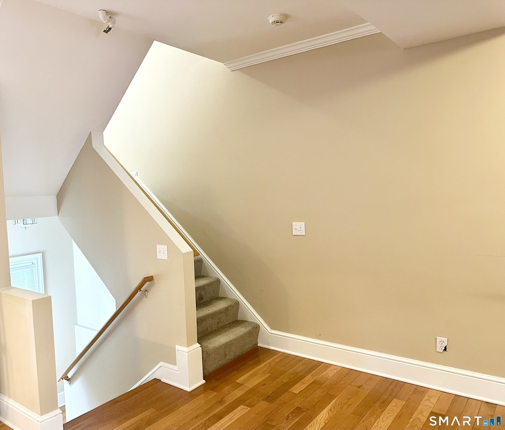 14 Haviland Street - Photo 10