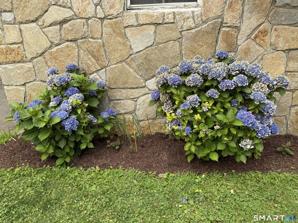 18 Dawn Street - Photo 14
