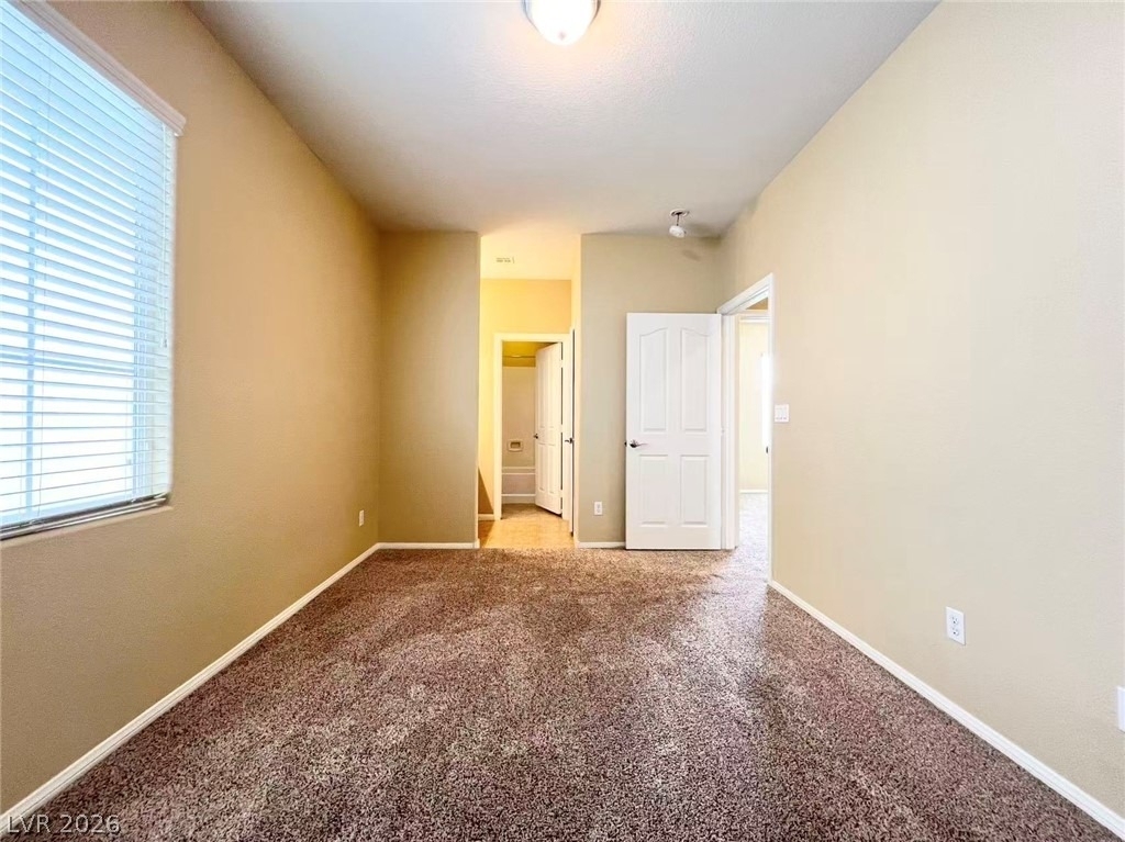 9868 Black Mulberry - Photo 17