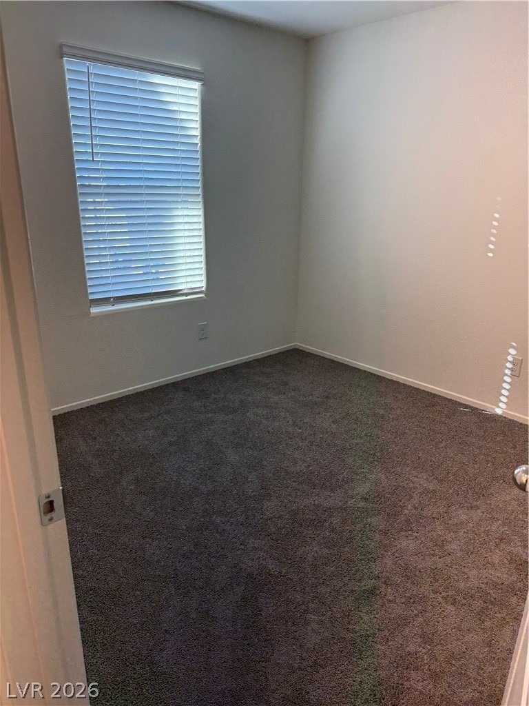 1912 Alouette Vista Street - Photo 28