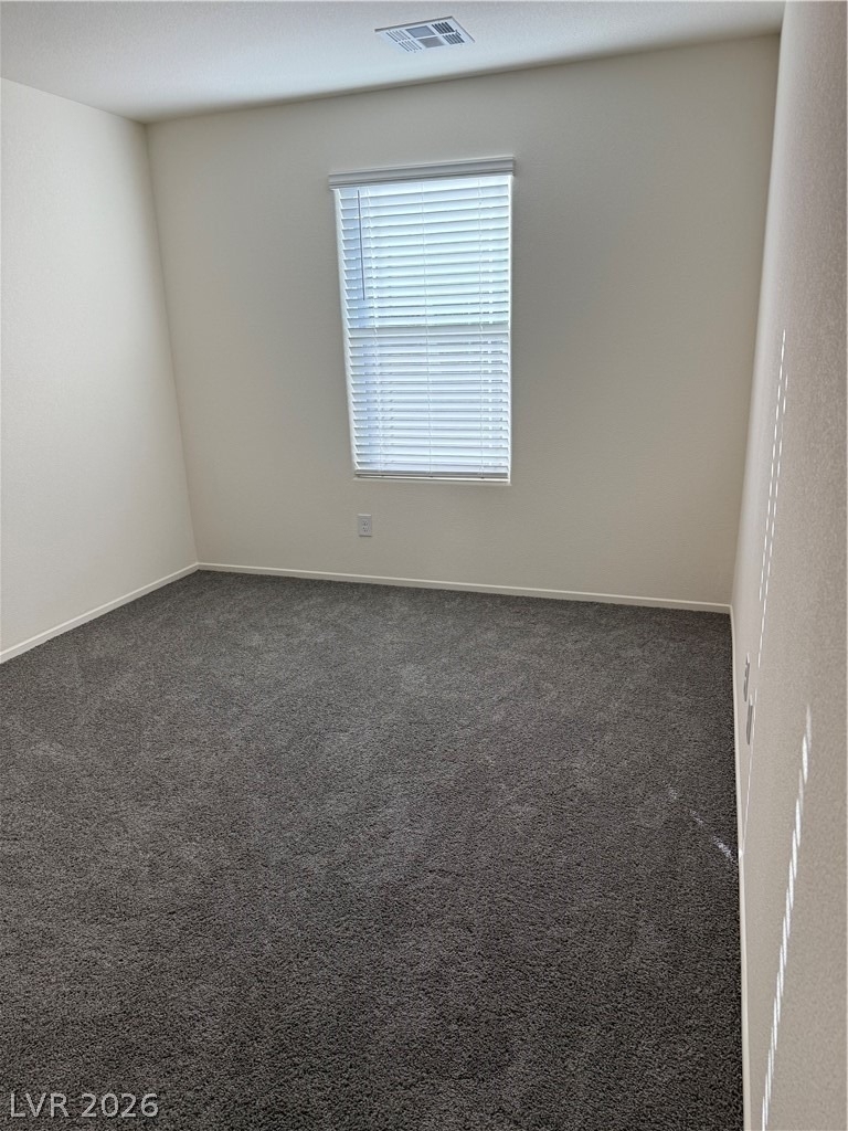 1912 Alouette Vista Street - Photo 29