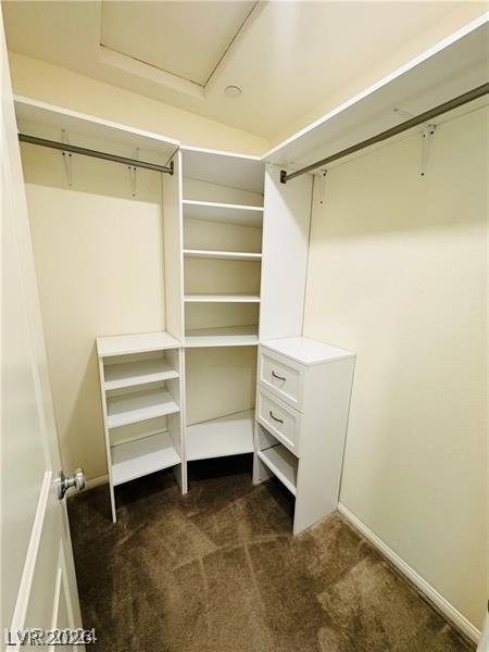 1003 Brilliant Meadow Avenue - Photo 15