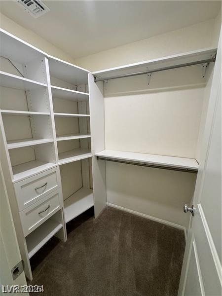 1003 Brilliant Meadow Avenue - Photo 16