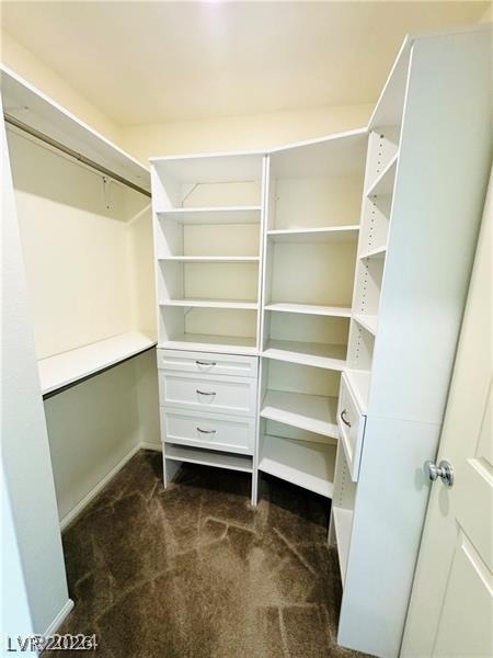 1003 Brilliant Meadow Avenue - Photo 14