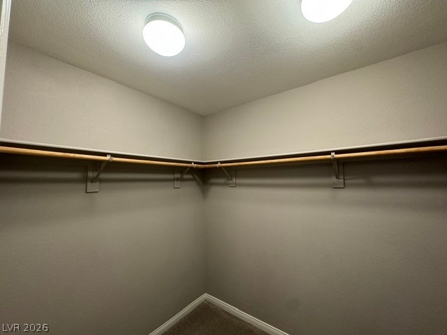 10558 Siesta Key Street - Photo 16
