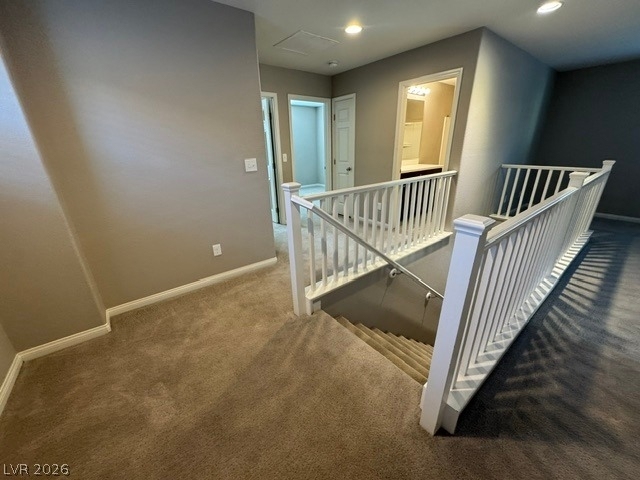 10558 Siesta Key Street - Photo 12
