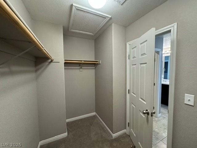 10558 Siesta Key Street - Photo 17