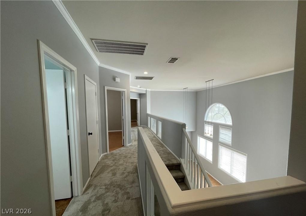 2788 Desert Zinnia Lane - Photo 14