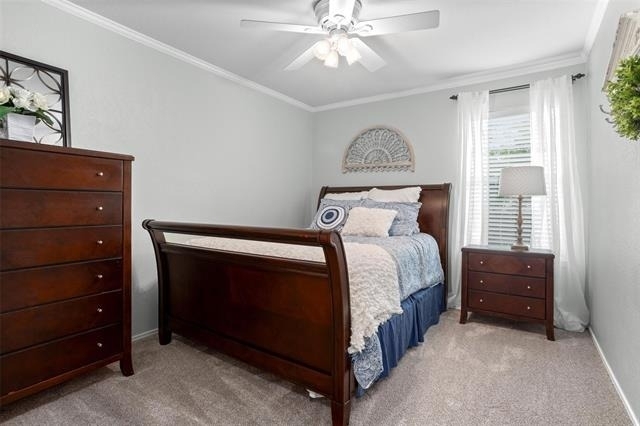 8432 Cactus Flower Drive - Photo 13