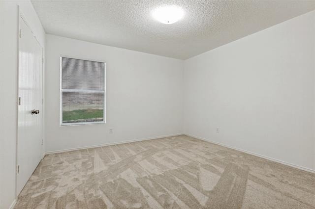 2508 Clear Brook Drive - Photo 14