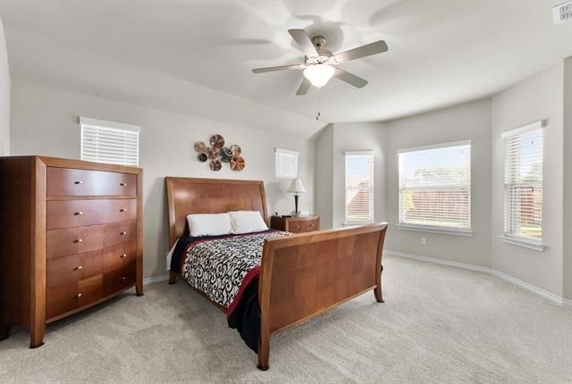 307 Acadia Lane - Photo 19