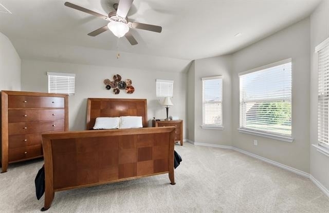 307 Acadia Lane - Photo 18