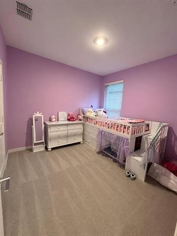 1009 Blazin Bronco Trail - Photo 4