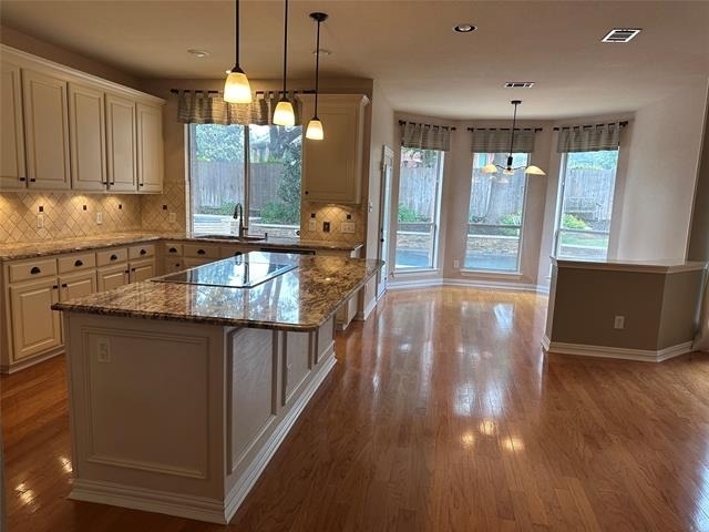 1403 Stone Lakes Drive - Photo 4