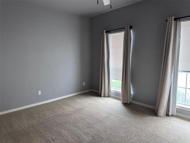 1403 Stone Lakes Drive - Photo 10