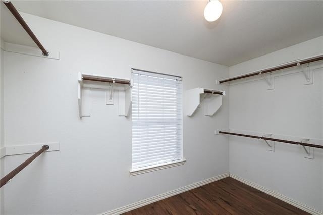 306 Tarpan Trail - Photo 31