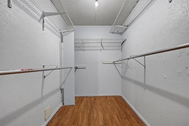 210 Nettletree Street - Photo 11