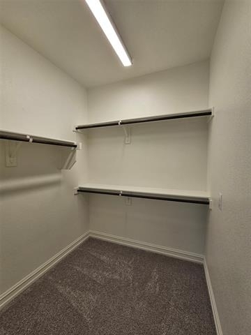 3105 Euclid Way - Photo 8