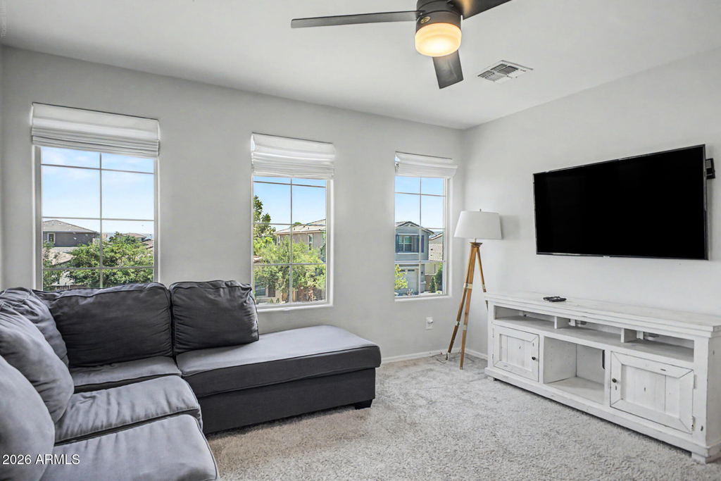43938 W Palo Olmo Road - Photo 16